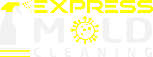 expressmoldcleaning.com